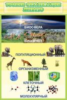 Стенд для кабинета биологии и экологии "Уровни организации живого", 0,6x0,9 м, без карманов