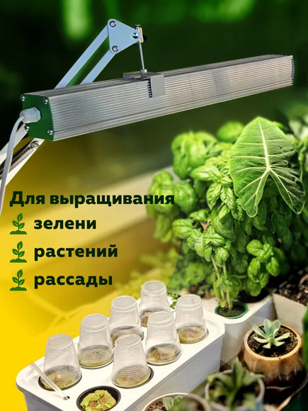 1.21.Т2 Комплект практикума для изучения сельскохозяйственных культур / Генетика и селекция растений