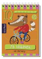 Посылка. Базовый комплект IQ-игр для развития логического мышления (5-8 лет). С пирамидкой.