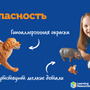 КОМПЛ.001 Большие игровые фигурки животных. Игровой комплект (для класса)