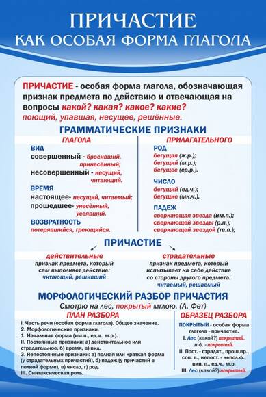 Стенд "Причастие как особая форма глагола", 0,6x0,9 м, без карманов