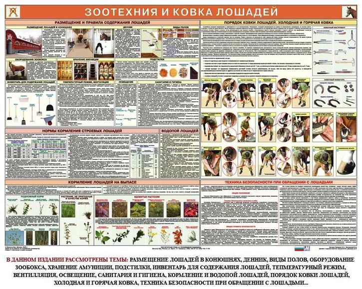 Плакаты "Служебное коневодство" (6 шт.), 84х119 см, А0, двухстороннее ламинирование
