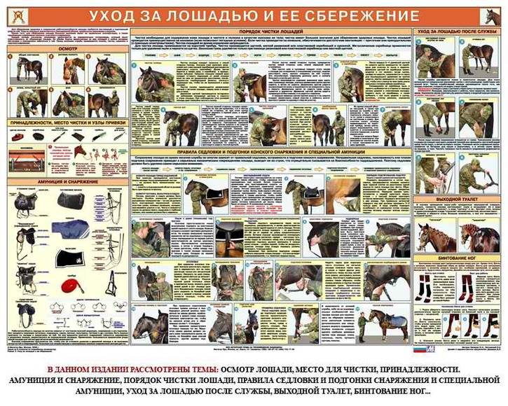 Плакаты "Служебное коневодство" (6 шт.), 84х119 см, А0, двухстороннее ламинирование
