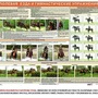 Плакаты "Служебное коневодство" (6 шт.), 84х119 см, А0, двухстороннее ламинирование