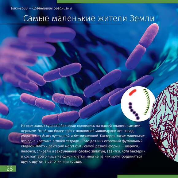 (RU) Книга знаний «Невидимый мир»