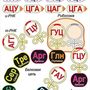 Модель-аппликация "Биосинтез белка"