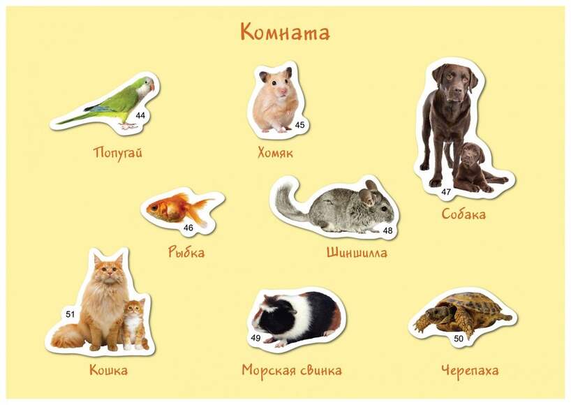 Магнитная развивающая игра "Кто где живёт, Деревня-Комната-Ферма" (Арт. 8006)