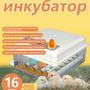 3.19. Инкубатор / Птицеводство будущего: технологи и управление. Агроклассы
