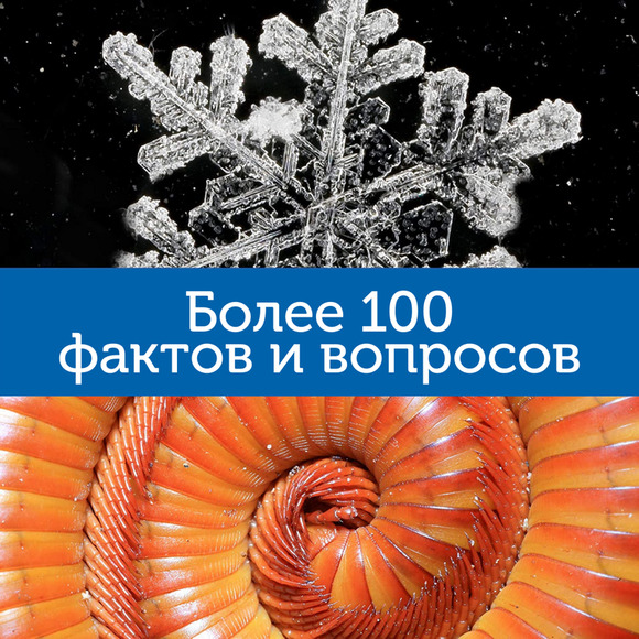 EI-8801 Мой первый микроскоп  (серия GeoSafari, говорящий  англ.яз)