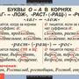 Таблицы Русский язык 5 класс 14 шт.