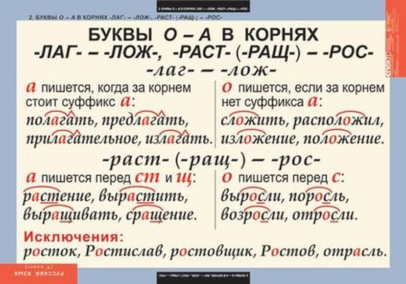 Таблицы Русский язык 5 класс 14 шт.