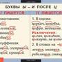 Таблицы Русский язык 5 класс 14 шт.
