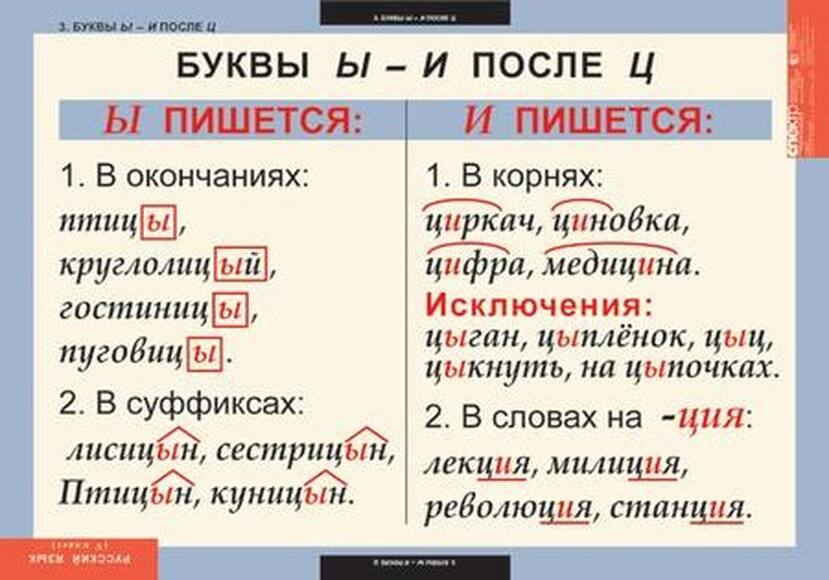 Таблицы Русский язык 5 класс 14 шт.