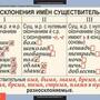Таблицы Русский язык 5 класс 14 шт.