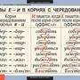 Таблицы Русский язык 5 класс 14 шт.