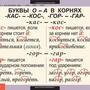 Таблицы Русский язык 6 класс 7 шт.