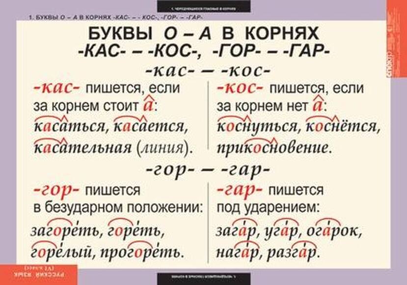 Таблицы Русский язык 6 класс 7 шт.