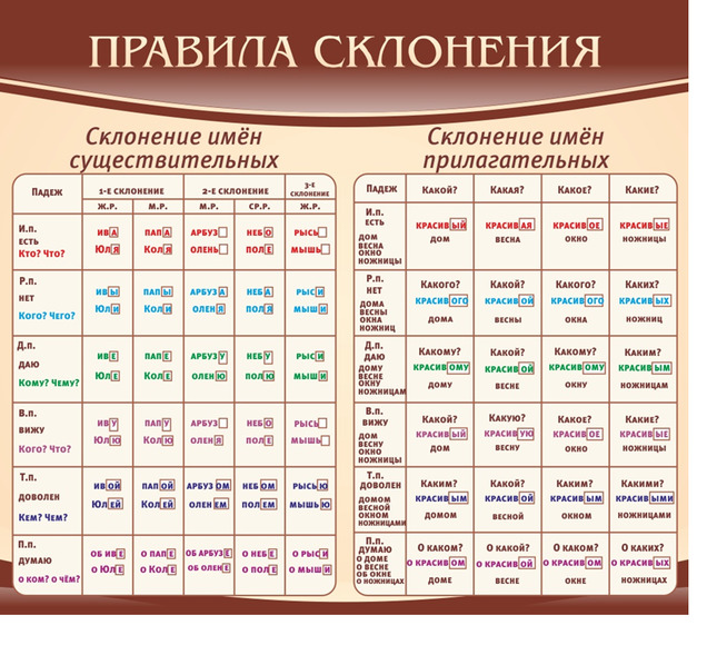 Стенд Правила склонения, 0,9x0,8 м, без карманов