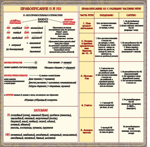 Стенд "Правописание Н и НН", 1х1 м, без карманов