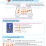 Набор GOMA 1 (MRT1-3) Brain B, 5-7 лет / HUNA
