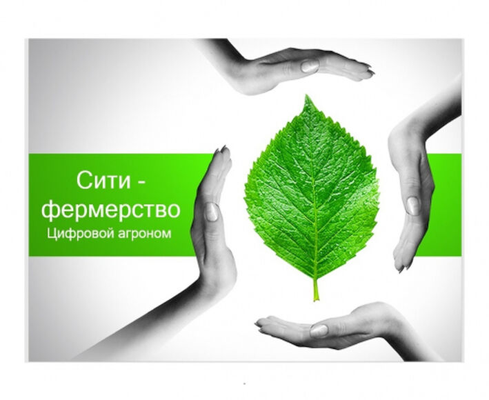 Модуль \"Сити-фермерство\"