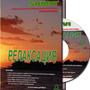 Комплект «БИМЕНТАЛЬ», (Эл. версия)