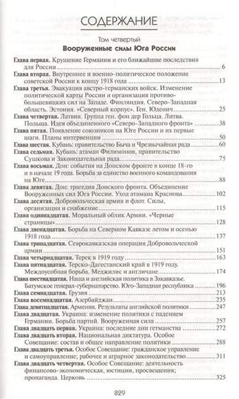 Очерки русской смуты. Книга 3 (том 4,5)