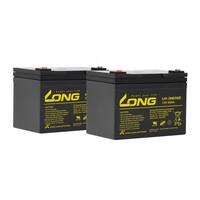 Аккумулятор Long-U1-36NE