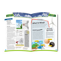 Энергия ветра 4.0 / WIND POWER
