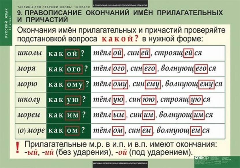 Таблицы Таблицы для старшей школы по русскому языку 10 класс 19 шт